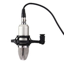 FIFINE F-700 Professional Condenser Sound Recording Microphone with Shock Mount for Studio Radio Broadcasting & Live Boardcast, 3.5mm Earphone Port, Cable Length: 2.5m(Silver)