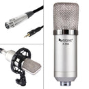 FIFINE F-700 Professional Condenser Sound Recording Microphone with Shock Mount for Studio Radio Broadcasting & Live Boardcast, 3.5mm Earphone Port, Cable Length: 2.5m(Silver)