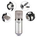 FIFINE F-700 Professional Condenser Sound Recording Microphone with Shock Mount for Studio Radio Broadcasting & Live Boardcast, 3.5mm Earphone Port, Cable Length: 2.5m(Silver)