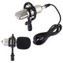 FIFINE F-700 Professional Condenser Sound Recording Microphone with Shock Mount for Studio Radio Broadcasting & Live Boardcast, 3.5mm Earphone Port, Cable Length: 2.5m(Silver)