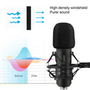 Yanmai Q8 Professional Game Condenser Sound Recording Microphone with Holder, Compatible with PC and Mac for Live Broadcast Show, KTV, etc.(Black)