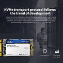 Netac N930ES 512GB M.2 2242 PCIe Gen3x2 Solid State Drive