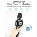 H12 High Sound Quality Handheld KTV Karaoke Recording Bluetooth Wireless Condenser Microphone(Rose Gold)