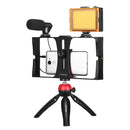 PULUZ 4 in 1 Vlogging Live Broadcast LED Selfie Light Smartphone Video Rig Kits with Microphone + Tripod Mount + Cold Shoe Tripod Head for iPhone, Galaxy, Huawei, Xiaomi, HTC, LG, Google, and Other Smartphones(Red)