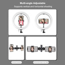 PULUZ 10.2 inch 26cm RGBW Light + 1.65m Tripod Mount + Dual Phone Bracket Curved Surface USB RGBW Dimmable LED Ring Selfie Beauty Vlogging Video Light Live Broadcast Kits with Cold Shoe Tripod Ball Head & Phone Clamp & Remote Control(Black)