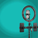 PULUZ 10.2 inch 26cm RGBW Light + 1.65m Tripod Mount + Dual Phone Bracket Curved Surface USB RGBW Dimmable LED Ring Selfie Beauty Vlogging Video Light Live Broadcast Kits with Cold Shoe Tripod Ball Head & Phone Clamp & Remote Control(Black)