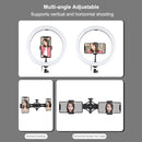 PULUZ 11.8 inch 30cm Light + 1.65m Tripod + Dual Phone Bracket Curved Surface USB 3 Modes Dimmable Dual Color Temperature LED Ring Vlogging Video Light Live Broadcast Kits with Phone Clamp(Black)