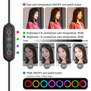 PULUZ 10.2 inch 26cm Marquee LED RGBWW Selfie Beauty Light + 1.1m Tripod Mount 168 LED Dual-color Temperature Dimmable Ring Vlogging Photography Video Lights with Cold Shoe Tripod Ball Head & Remote Control & Phone Clamp(Black)