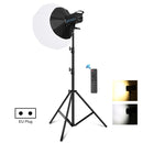 PULUZ 150W 3200K-5600K Studio Video Light + 2.8m Light Holder + 65cm Foldable Lantern Softbox Photography Kit(EU Plug)