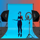 PULUZ Softbox Lighting Kit 2 PCS 50x70cm Professional Photo Studio Photography Light Equipment with 2 x E27 Socket Bulb Photography Lighting Kit(EU Plug)