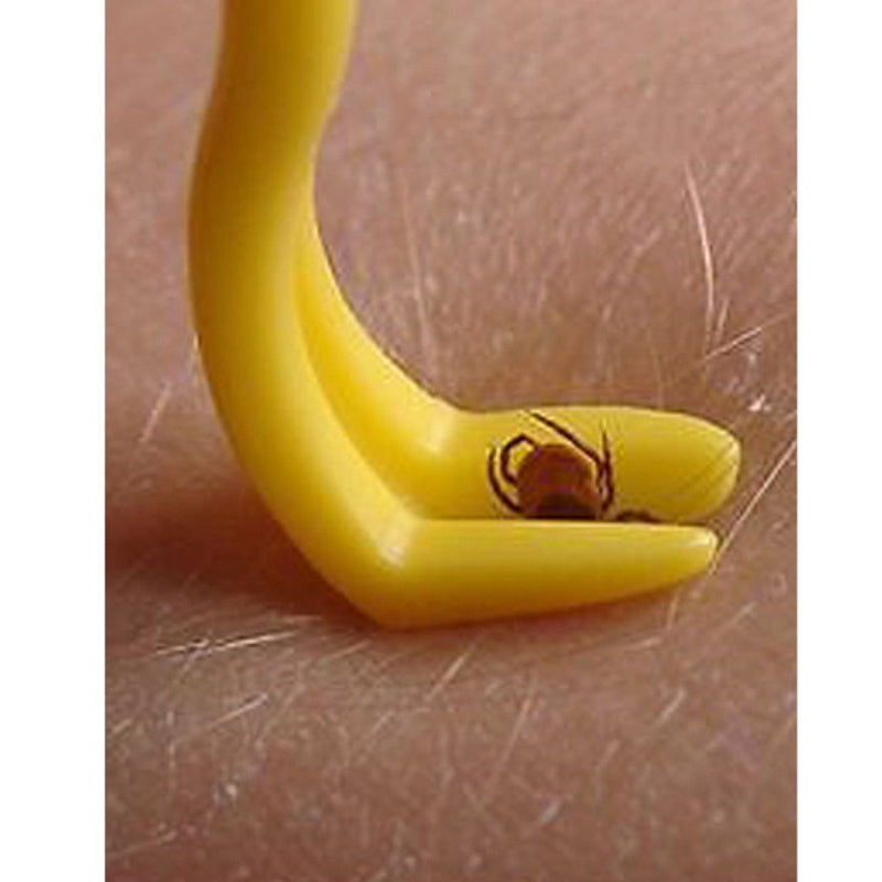 2PCS Pet Flea Remover Tool Scratching Hook Remover Pet Cat Dog Grooming Supplies