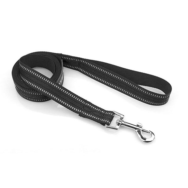 2pcs Puppy Dog Pet Harness Training Lead Walking Leash Nylon With Metal Clip