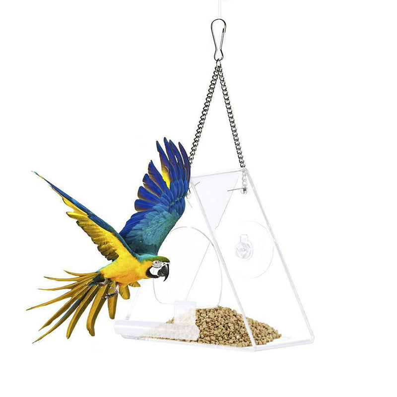 Parrot Feeder Stand Birds-Supplies Food-Box Acrylic Pet Anti-Scatter Triangle