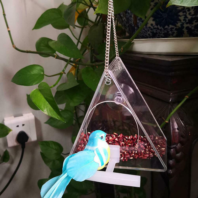 Parrot Feeder Stand Birds-Supplies Food-Box Acrylic Pet Anti-Scatter Triangle