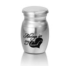 Cremation-Holder Memorial Urns Funeral Pet Ashes Animal Casket Keepsake Heart