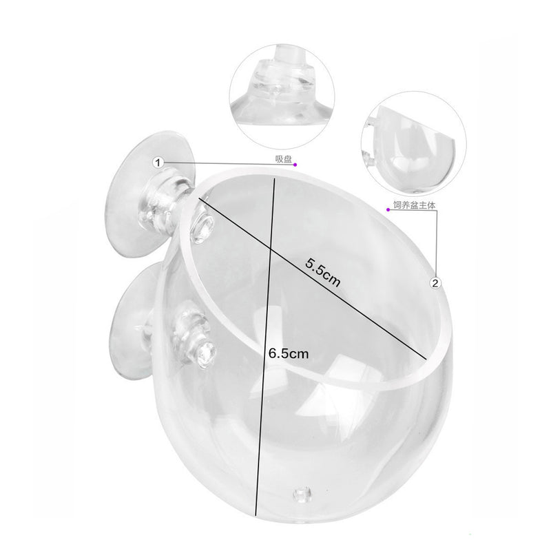 Water Grass Breeding Water Grass Cultivation Cup Water Grass Cup Newest Useful