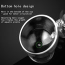 Water Grass Breeding Water Grass Cultivation Cup Water Grass Cup Newest Useful