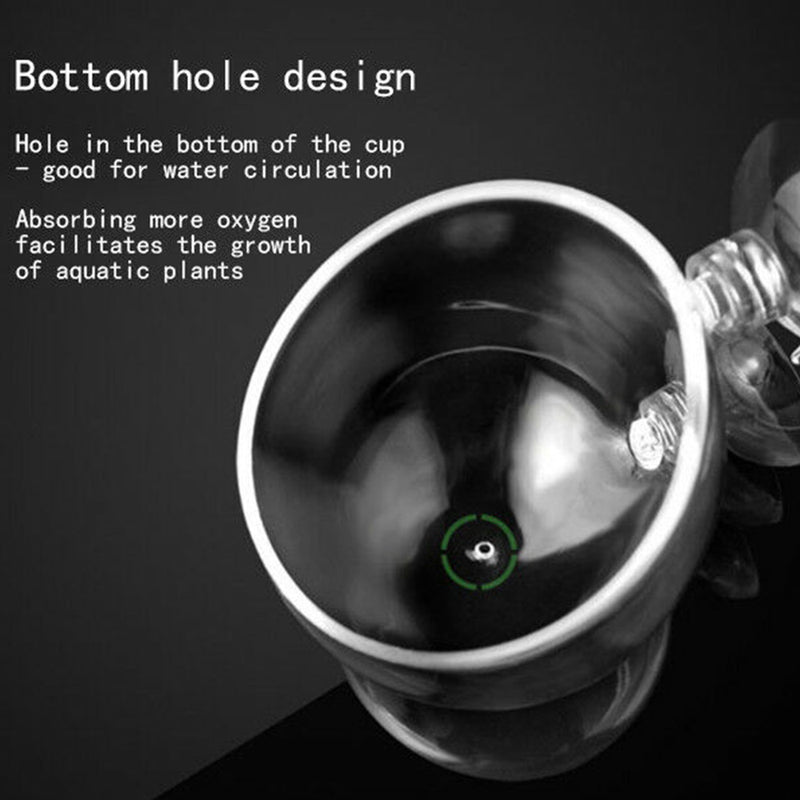 Water Grass Breeding Water Grass Cultivation Cup Water Grass Cup Newest Useful