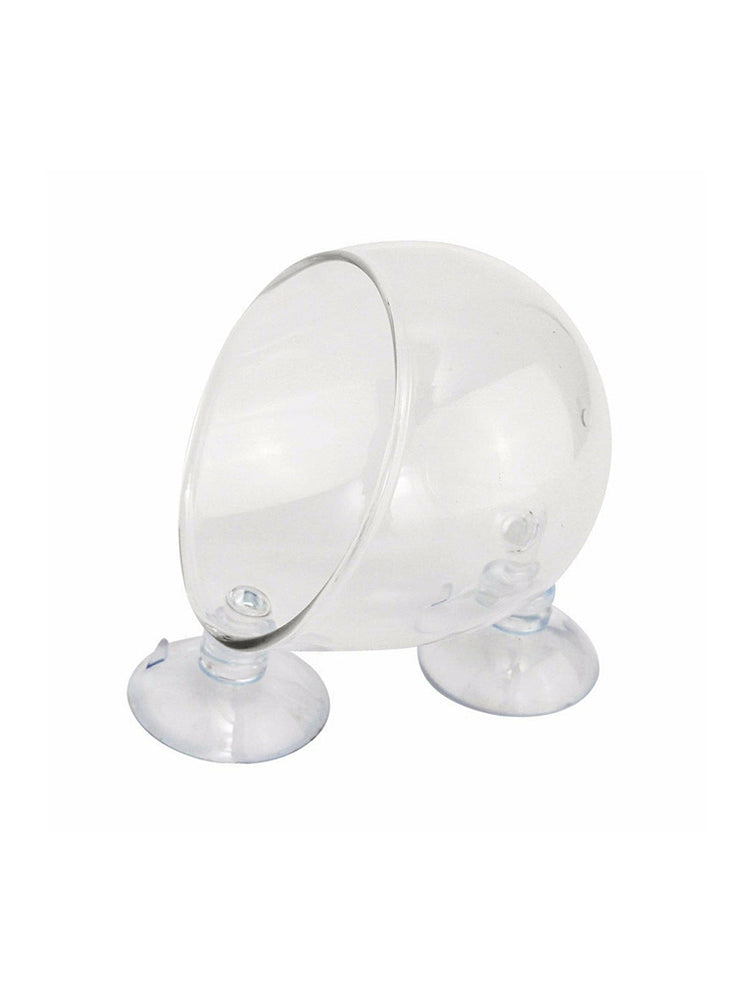 Water Grass Breeding Water Grass Cultivation Cup Water Grass Cup Newest Useful