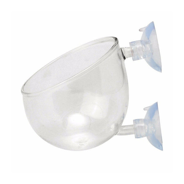 Water Grass Breeding Water Grass Cultivation Cup Water Grass Cup Newest Useful