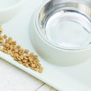 2 Pcs Pets Dogs Bowl Stainless Steel Bowl Elevated Food Water Dish Feeder New