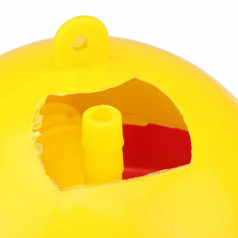 Simple Bird Coop Feed Poultry Water Drinking Cups Chicken Drinker Practical