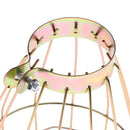 5 x Reptile Insulation Heating Light Bulb Lamp Heater Holder Anti-hot Cage Guard