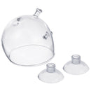 Mini Aquarium Red Shrimp Fish Tank Crystal Holder Aquatic Cup Planter 1 Pcs