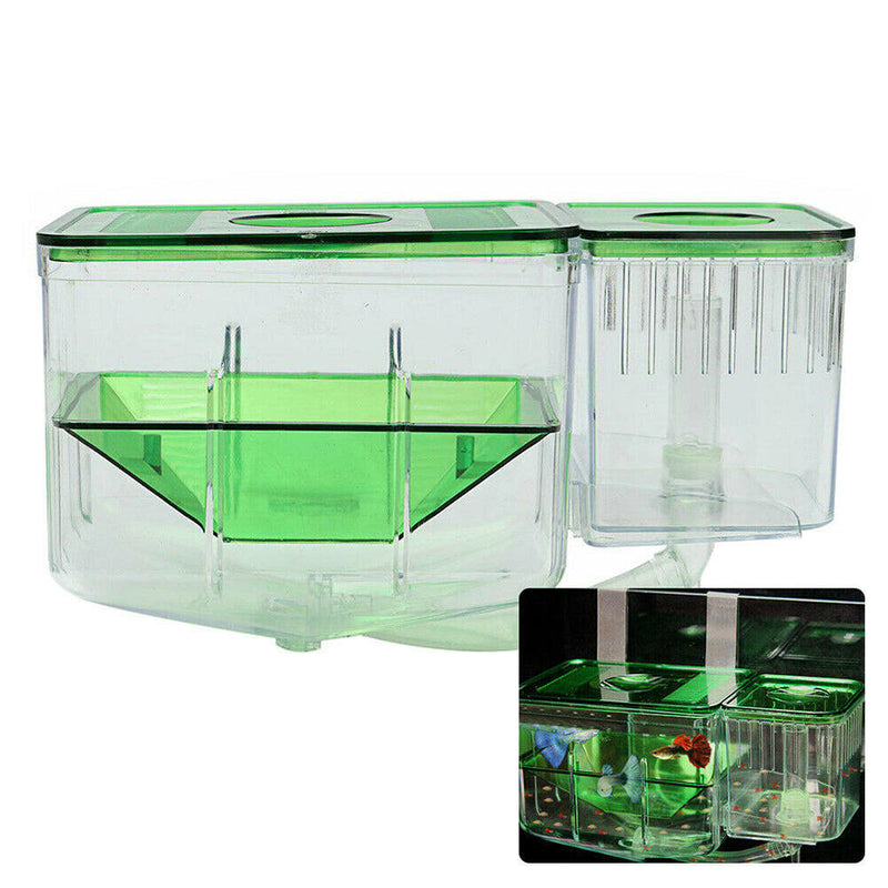 1x Quality Aquarium Fish Breeding Box Double Hatchery Fish Tank Fry Breed