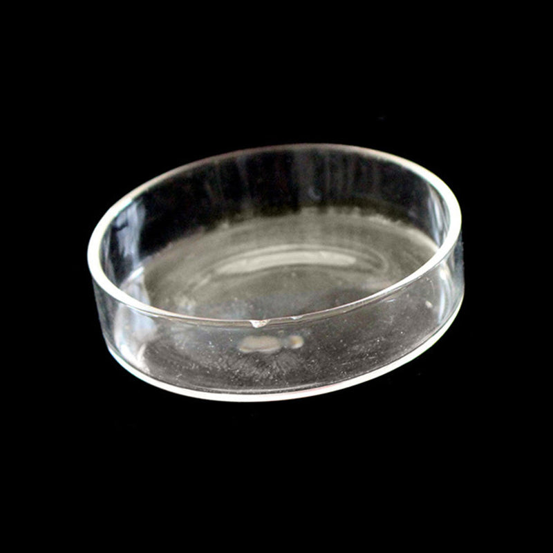 1x New Aquarium Fish Tank Clear Container Shrimp Food Dish Feeding Bowl