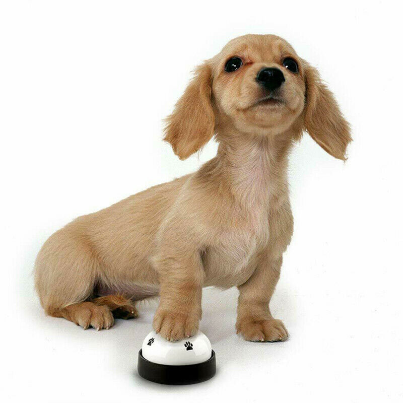 1 pc New Dog Doorbells Dog Training Bell Pet Bells Adjustable Door Bell for Door