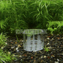 1x New Shrimp Feeding Dish Crystal Glass Planaria Trap Worm Catch Pen 8 Holes