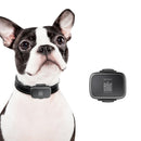 Original Xiaomi Youpin PETBIT G1 Pet Smart Locator Anti-lost Collar(Black)