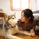 Original Xiaomi Youpin PETBIT G1 Pet Smart Locator Anti-lost Collar(White)