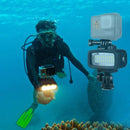 PULUZ 20 LEDs 40m Waterproof IPX8 Studio Light Video & Photo Light with Hot Shoe Base Adapter & Quick Release Buckle & Long Screw & 2 x Filter Plates for GoPro HERO10 Black / HERO9 Black / HERO8 Black ... n /4 /3+ /3 /2 /1, Xiaoyi and Other Action Cameras