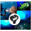 PULUZ 20 LEDs 40m Waterproof IPX8 Studio Light Video & Photo Light with Hot Shoe Base Adapter & Quick Release Buckle & Long Screw & 2 x Filter Plates for GoPro HERO10 Black / HERO9 Black / HERO8 Black ... n /4 /3+ /3 /2 /1, Xiaoyi and Other Action Cameras