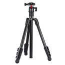 PULUZ 4-Section Folding Legs Metal Tripod Mount with 360 Degree Ball Head for DSLR & Digital Camera, Adjustable Height: 42-130cm