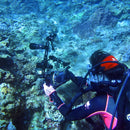 PULUZ 5 inch 12.6cm Aluminum Alloy Dual Balls Arm for Underwater Torch / Video Light, Ball Diameter: 2.5cm