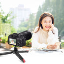 PULUZ 3/8 inch Inner Screw Metal Tripod Ball Head Adapter with Knob Lock(Black)