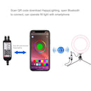 PULUZ 6.2 inch 16cm USB RGBW Dimmable LED Ring Vlogging Photography Video Lights with Cold Shoe Tripod Ball Head & Remote Control(Pink)