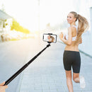 PULUZ 1.65m Height Tripod Mount Holder for Vlogging Video Light Live Broadcast Kits(Black)