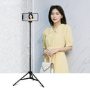 PULUZ 1.65m Height Tripod Mount Holder for Vlogging Video Light Live Broadcast Kits(Black)