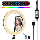 PULUZ 10.2 inch 26cm Curved Surface USB RGBW Dimmable LED Ring Vlogging Photography Video Lights with Tripod Ball Head & Remote Control & Phone Clamp(Black)