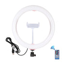 PULUZ 10.2 inch 26cm Curved Surface USB RGBW Dimmable LED Ring Vlogging Photography Video Lights with Tripod Ball Head & Remote Control & Phone Clamp(Pink)