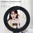 PULUZ 10.2 inch 26cm USB 3 Modes Dimmable Dual Color Temperature LED Curved Ring Vlogging Selfie Photography Video Lights with Bluetooth Remote Shutter & Folding Desktop Holder & Phone Clamp(Black)