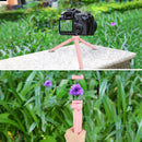 PULUZ Pocket Mini Plastic Tripod Mount with Phone Clamp for Smartphones (Pink)