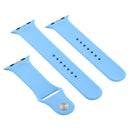 For Apple Watch Series 7 45mm / 6 & SE & 5 & 4 44mm / 3 & 2 & 1 42mm High-performance Ordinary & Longer Rubber Sport Watch Band with Pin-and-tuck Closure(Chrysanthemum Blue)
