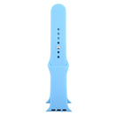 For Apple Watch Series 7 45mm / 6 & SE & 5 & 4 44mm / 3 & 2 & 1 42mm High-performance Ordinary & Longer Rubber Sport Watch Band with Pin-and-tuck Closure(Chrysanthemum Blue)