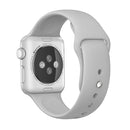 For Apple Watch Series 7 45mm / 6 & SE & 5 & 4 44mm / 3 & 2 & 1 42mm High-performance Ordinary & Longer Rubber Sport Watch Band with Pin-and-tuck Closure(Silver)