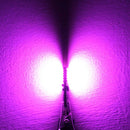 2 PCS T10 4.8W 720LM Pink Light 24 SMD 4014 LED Error-Free Canbus Car Clearance Lights Lamp, DC 12V